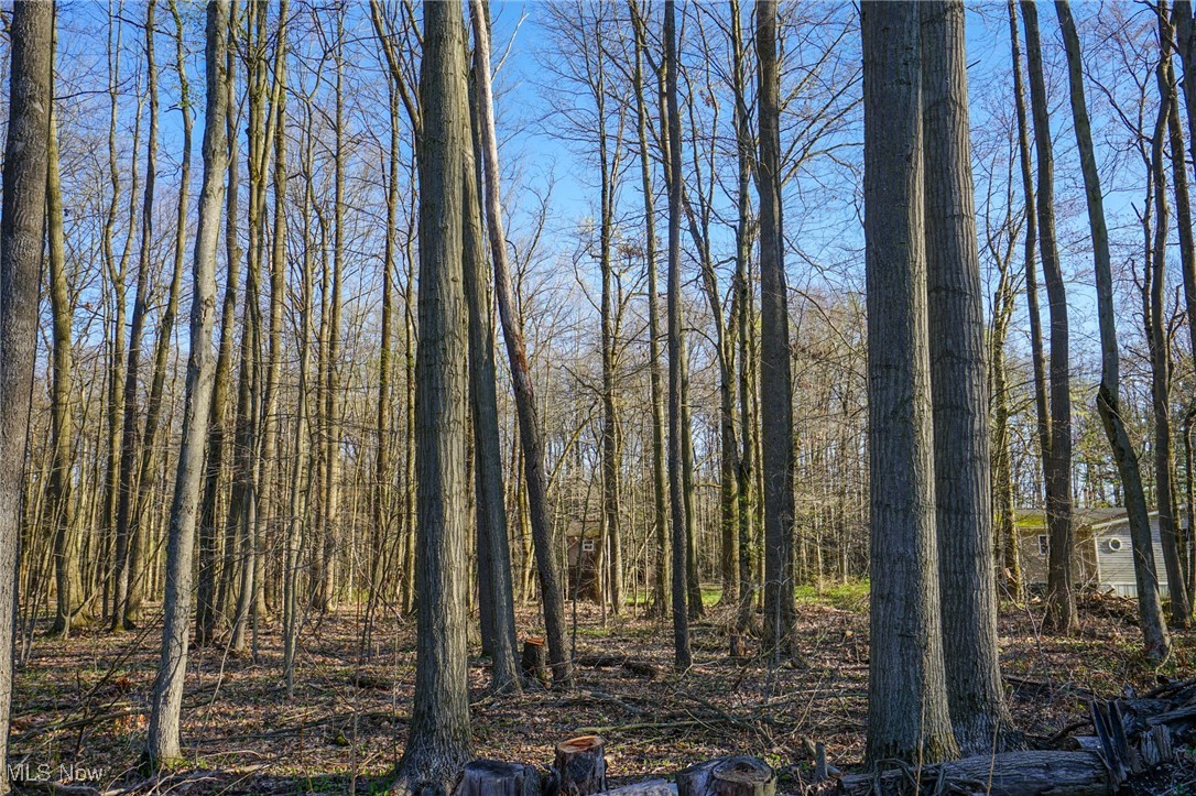 6831 Howard Rd Rd, Williamsfield, Ohio image 28
