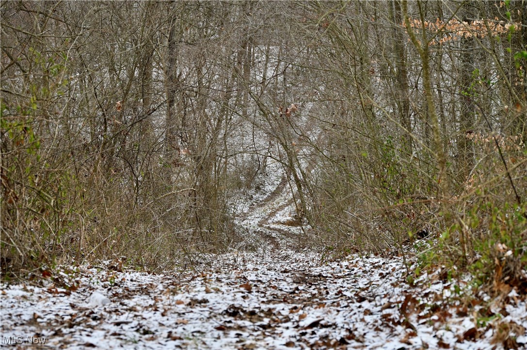 County Road 18, Walhonding, Ohio image 18