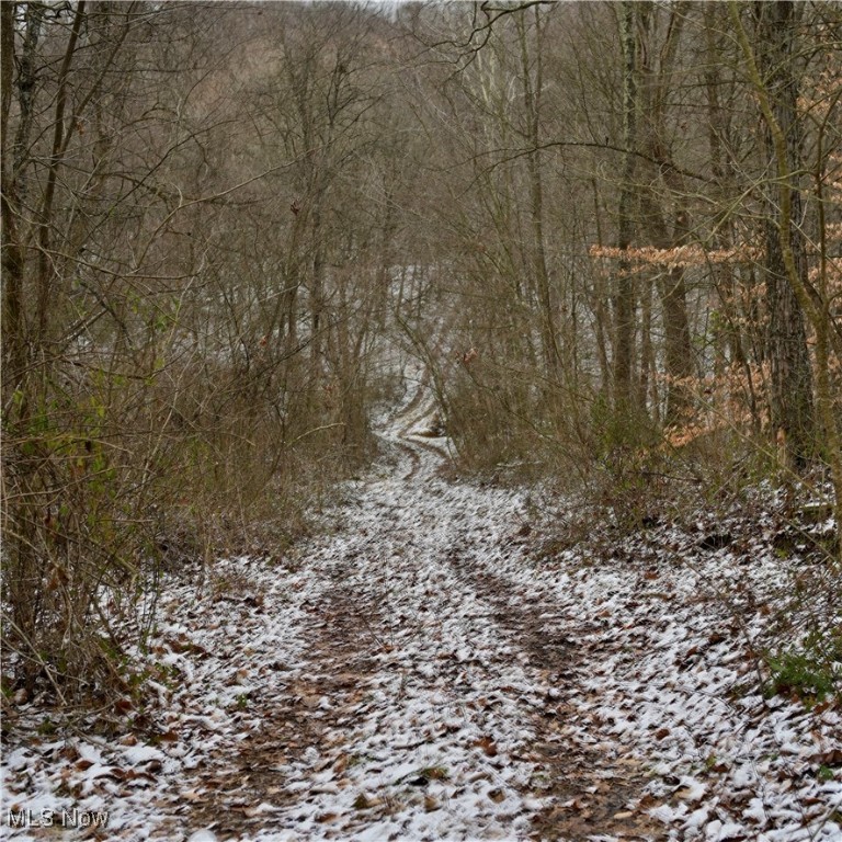 County Road 18, Walhonding, Ohio image 17