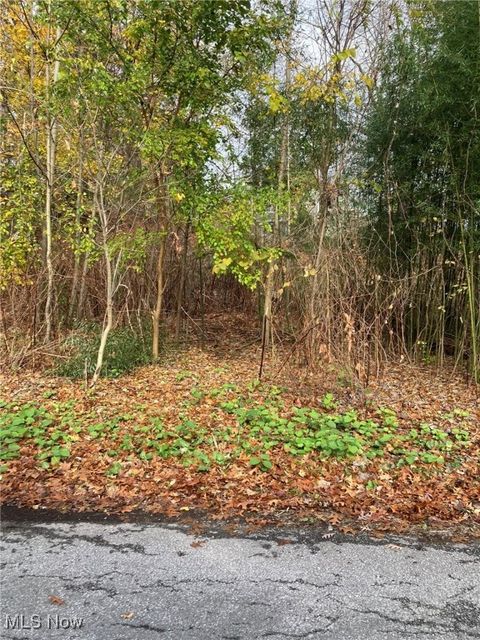 Vacant Land For Sale - 265 E Pace Avenue<br/> Coventry, OH 44319