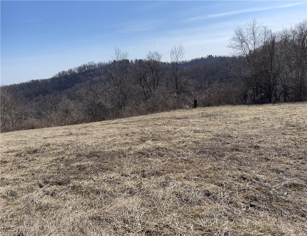 23314 Frostyville Road, Caldwell, Ohio image 23