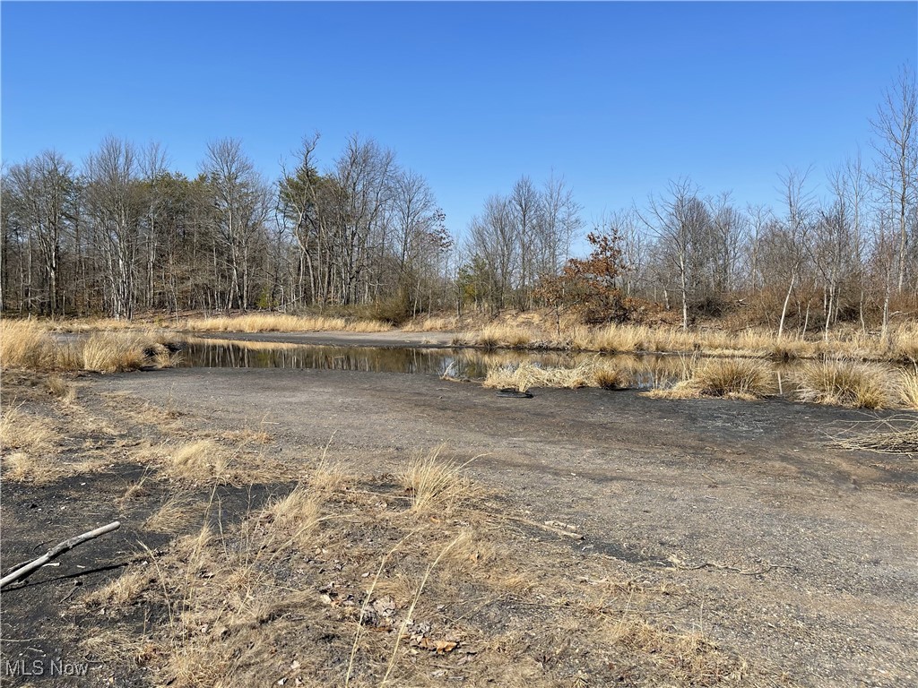 23314 Frostyville Road, Caldwell, Ohio image 17