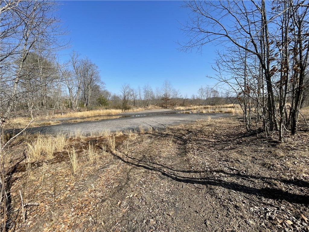 23314 Frostyville Road, Caldwell, Ohio image 16