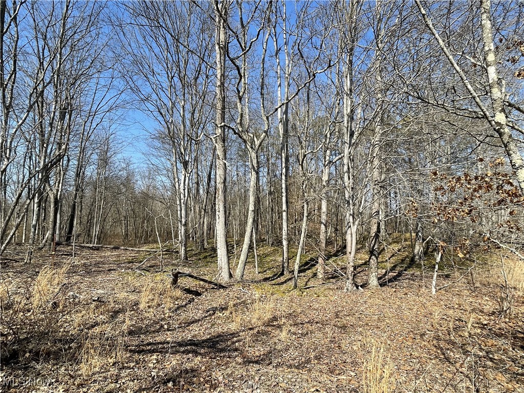 23314 Frostyville Road, Caldwell, Ohio image 18