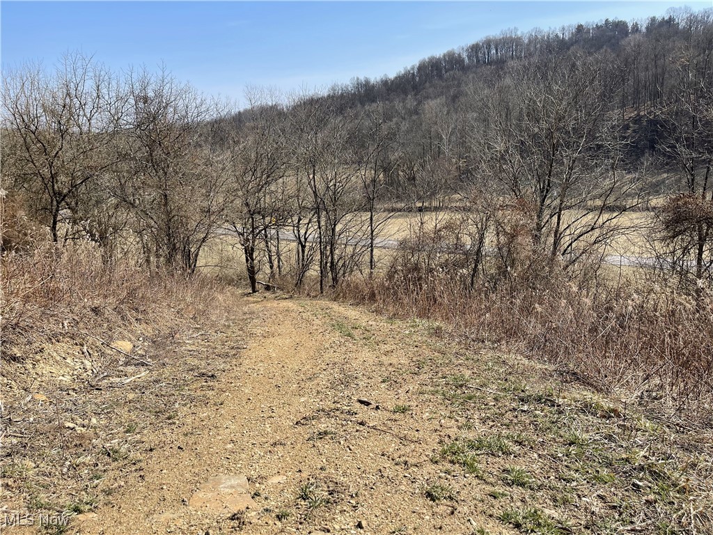 23314 Frostyville Road, Caldwell, Ohio image 29