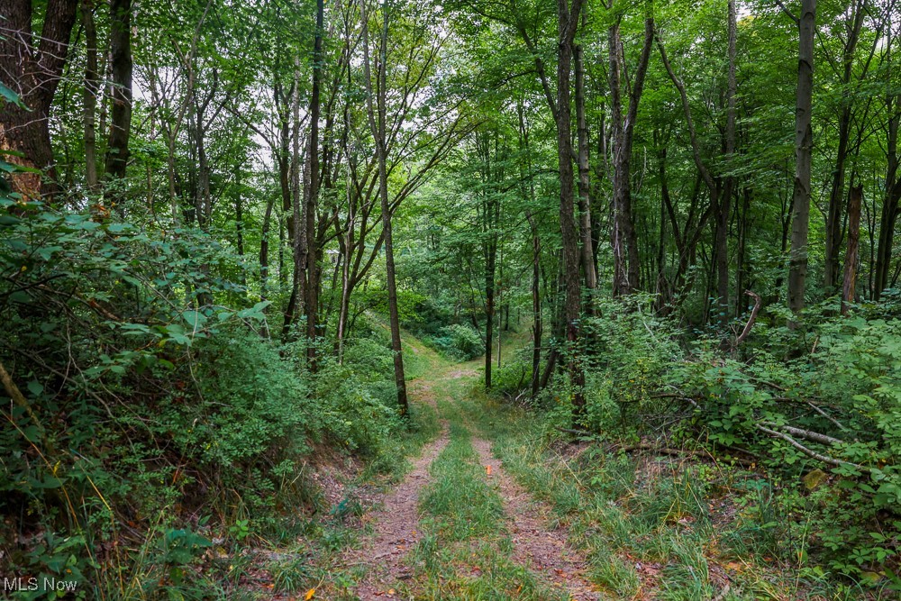 Day Avenue, Navarre, Ohio image 9