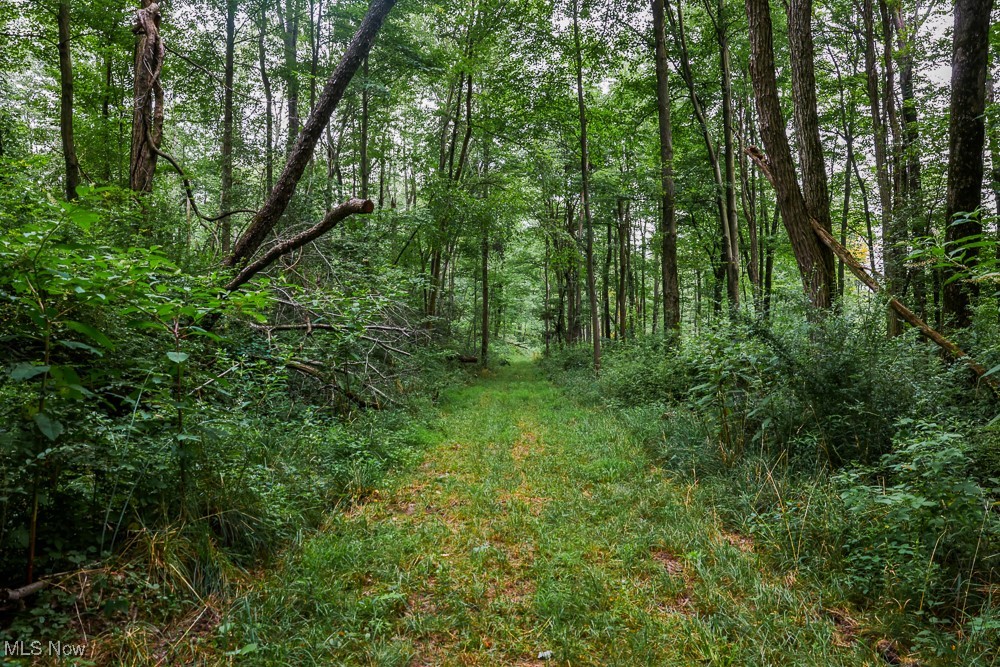 Day Avenue, Navarre, Ohio image 19