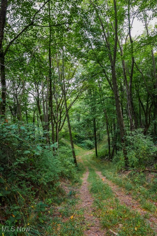 Day Avenue, Navarre, Ohio image 8