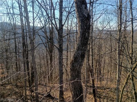 Tiny photo for Mountaineer Highway, Littleton, WV 26581 (MLS # 5190512)