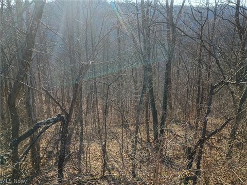 Tiny photo for Mountaineer Highway, Littleton, WV 26581 (MLS # 5190512)