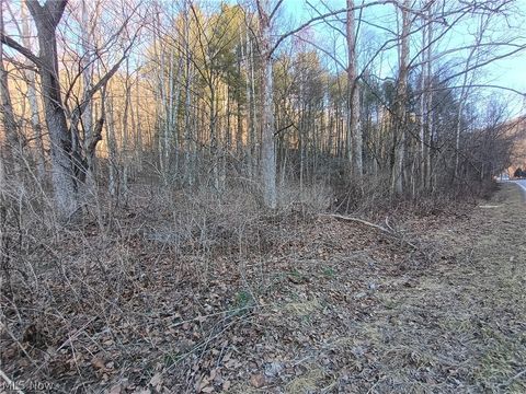 Photo of Mountaineer Highway, Littleton, WV 26581 (MLS # 5190512)