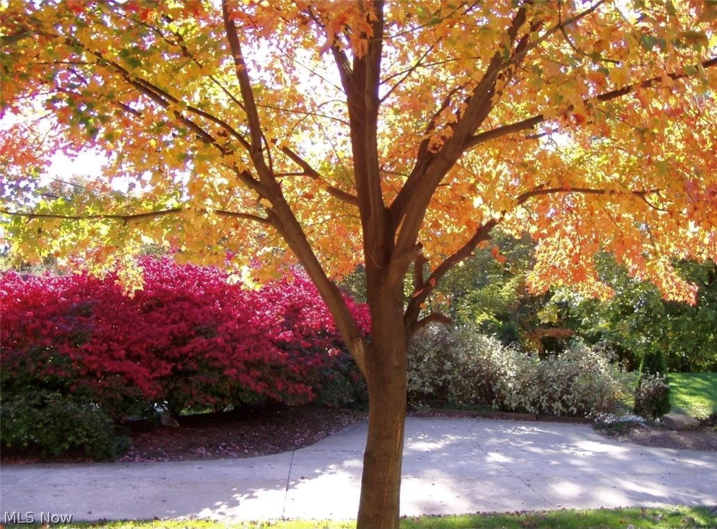 Harper Ridge - Residential