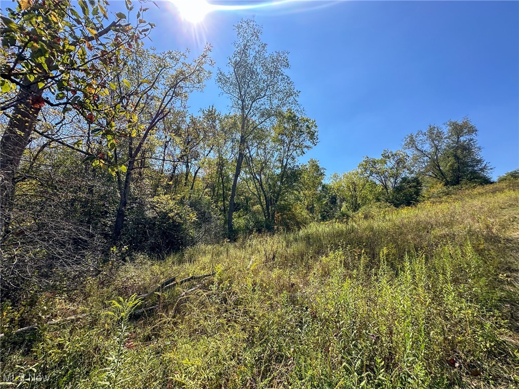 Black Road, Hopewell, Ohio image 11
