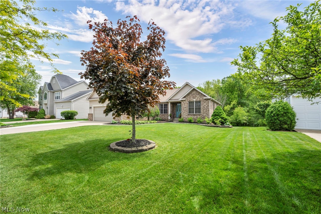 Tiberon Trace - Residential