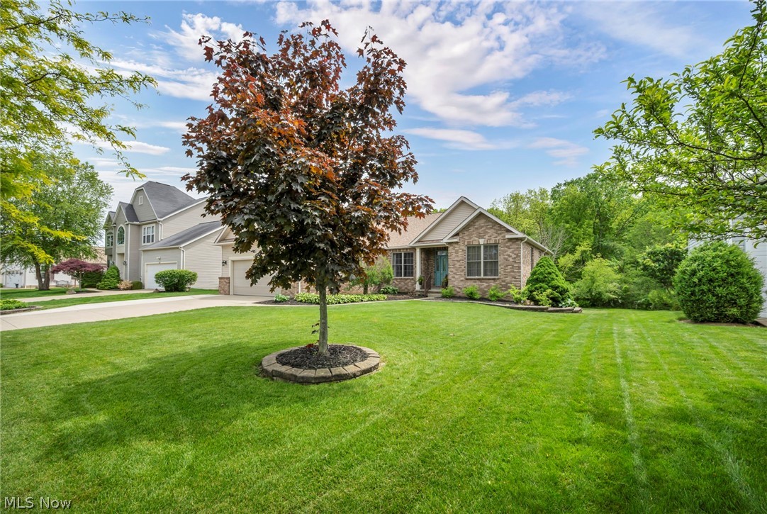 Tiberon Trace - Residential