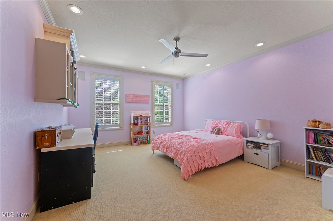 Maplevale 01 - Residential