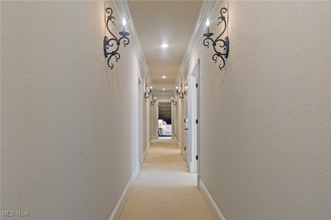 Maplevale 01 - Residential