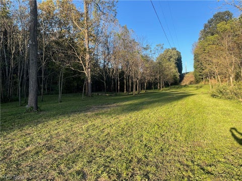 Photo of Dudley Road, Caldwell, OH 43724 (MLS # 5250588)