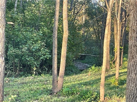 Tiny photo for Dudley Road, Caldwell, OH 43724 (MLS # 5250588)