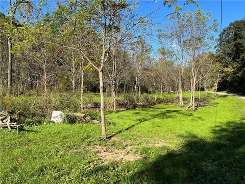 Tiny photo for Dudley Road, Caldwell, OH 43724 (MLS # 5250588)