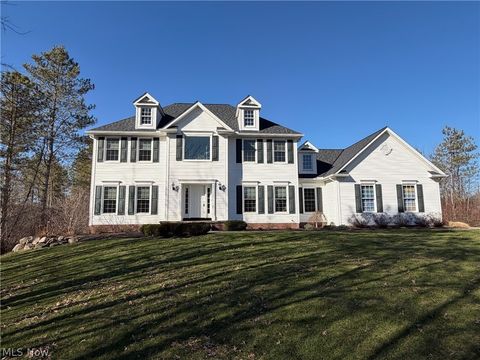 Tiny photo for 11680 Blue Heron Trail, Chardon, OH 44024 (MLS # 5192330)