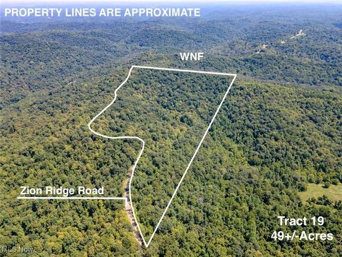 Vacant Land For Sale - TRACT 19 Zion Ridge Road<br/> Marietta, OH 45750