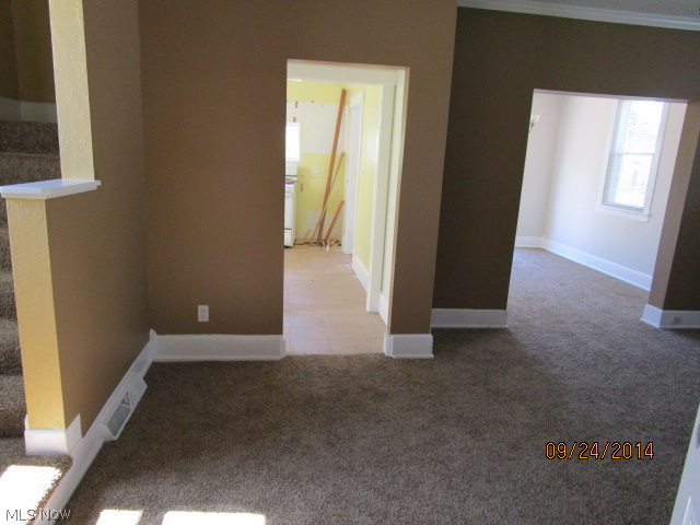 Cleveland Street Allotment - Residential