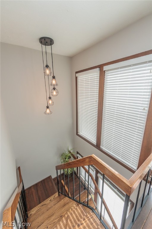 Barton Woods Condo - Residential