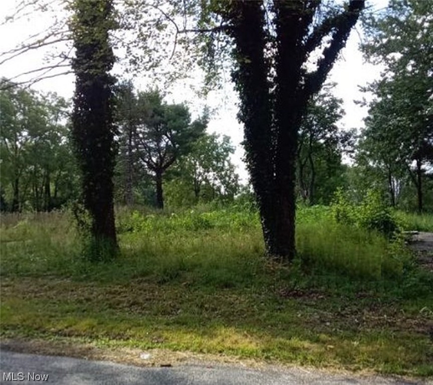 Great Country Lot. Build now or in the future. 1.64 Acre. 215' X 334' . Taxes to be determined. House was removed recently due to a fire in the past and septic was crashed per the health dept request.