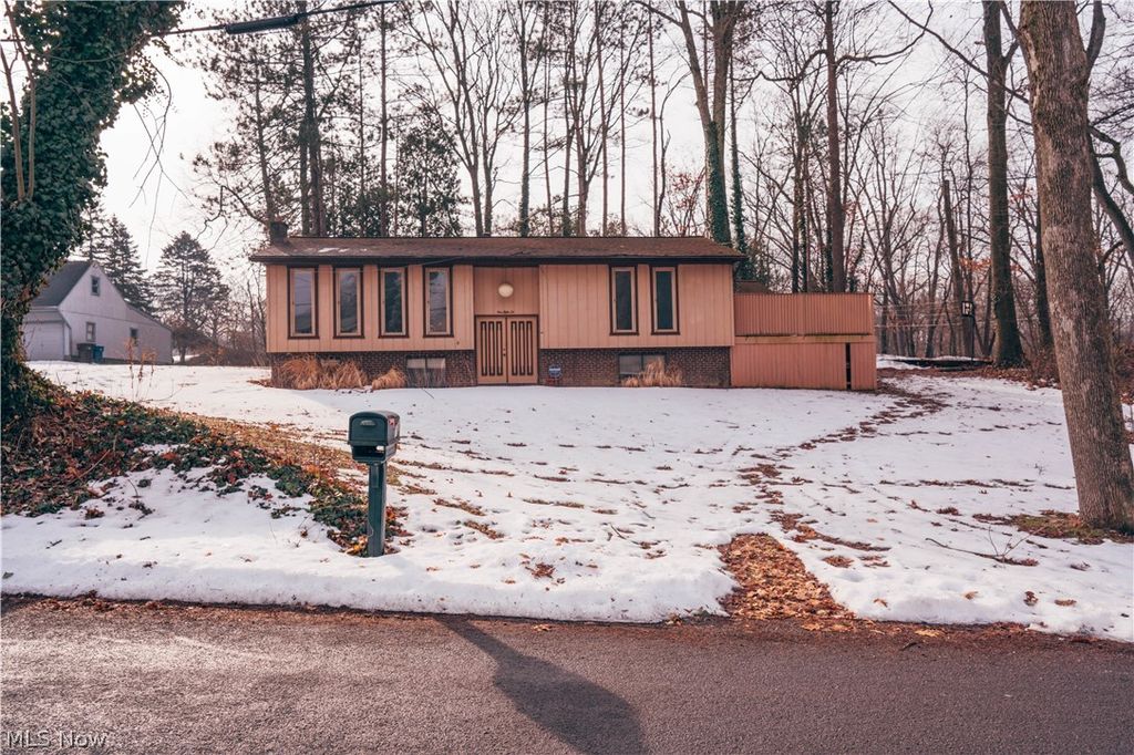 Photo of 156 W Ingleside Drive, Akron, OH 44319 (MLS # 5189469)