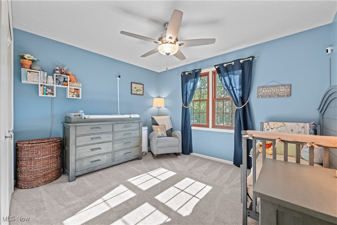 Village At Meadow Wood - Residential