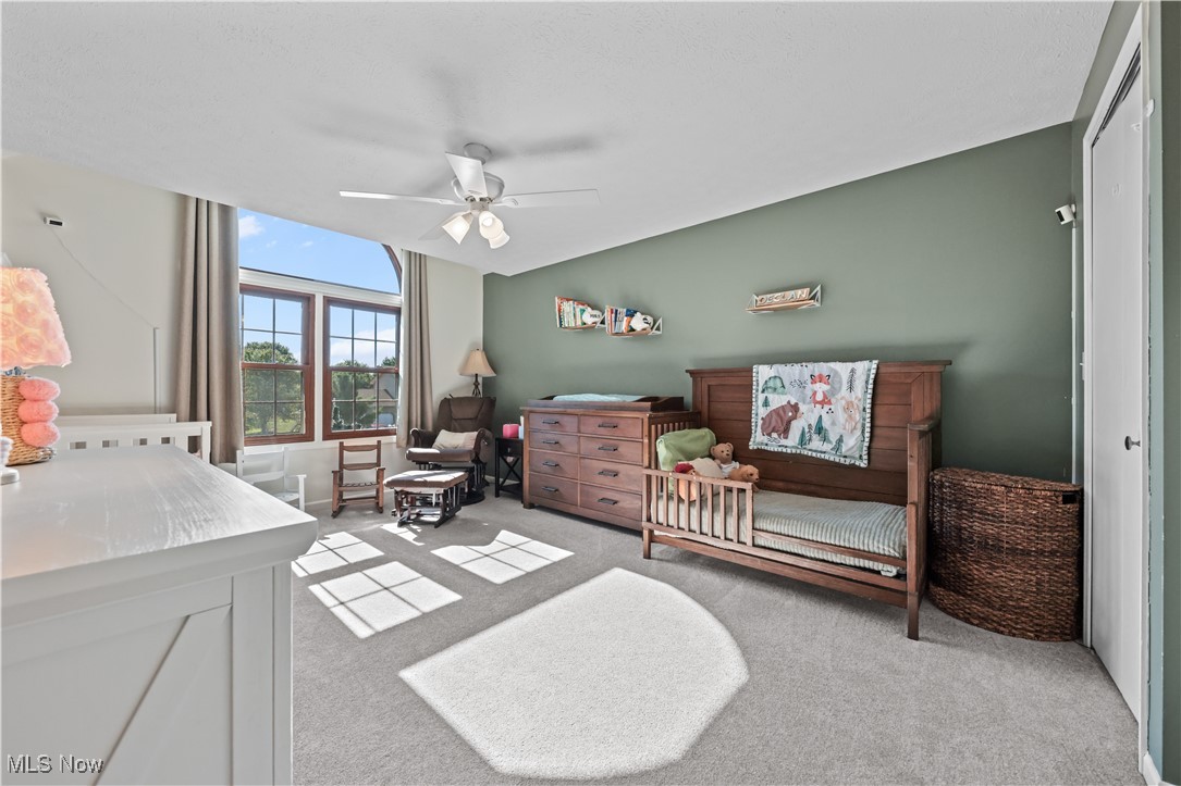 Village At Meadow Wood - Residential