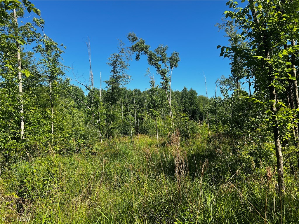 Township/Mecca Cowles Sec 01 - Land