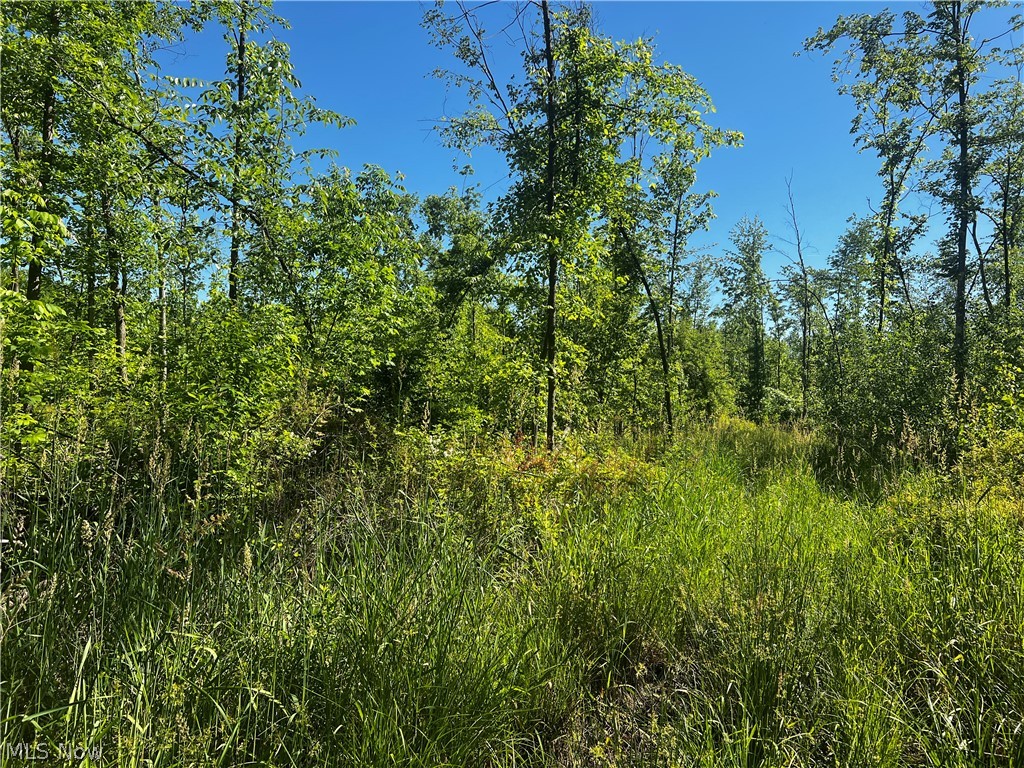 Township/Mecca Cowles Sec 01 - Land