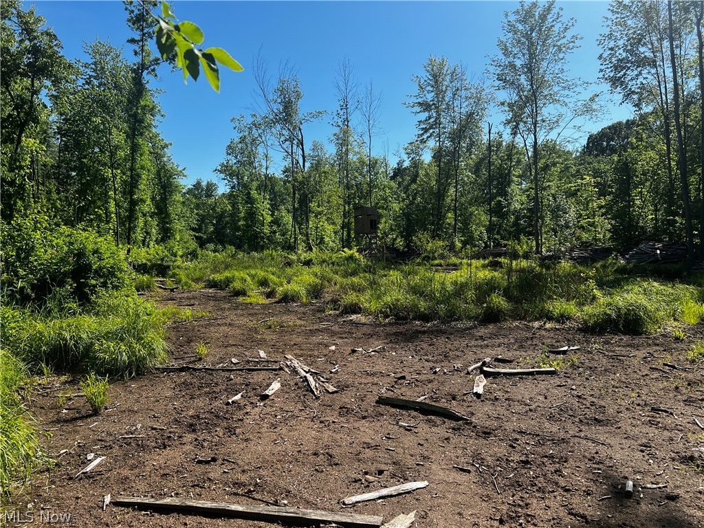 Township/Mecca Cowles Sec 01 - Land