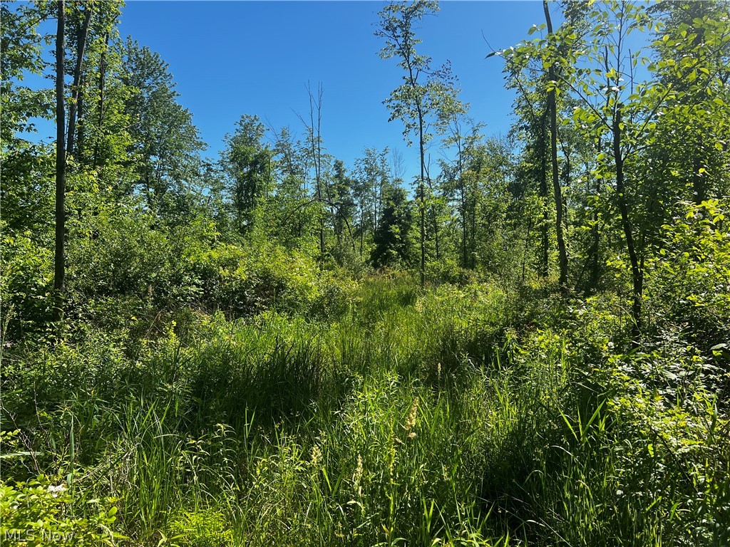 Township/Mecca Cowles Sec 01 - Land