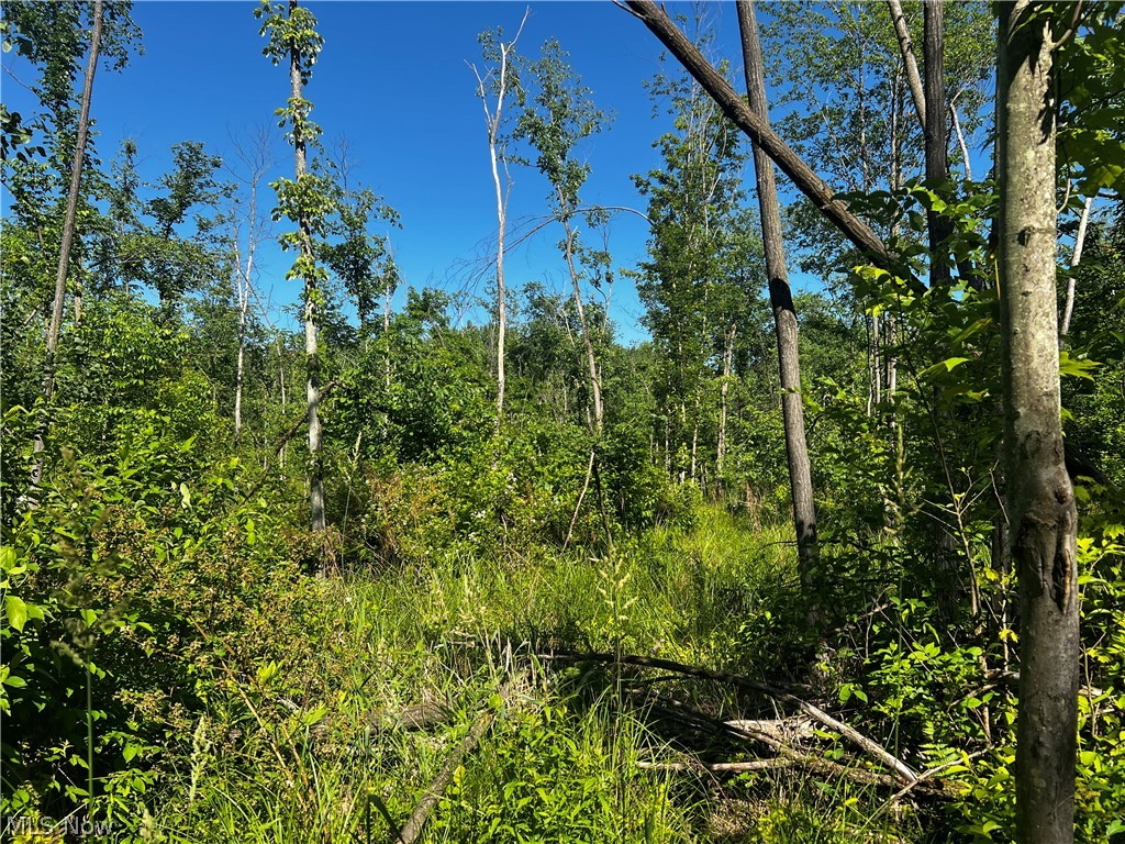 Township/Mecca Cowles Sec 01 - Land