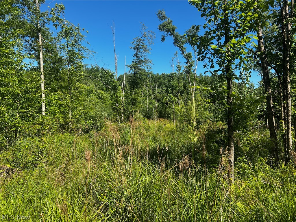 Township/Mecca Cowles Sec 01 - Land