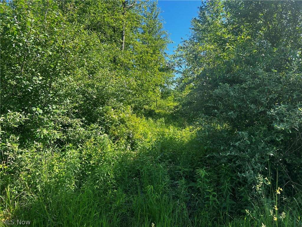 Township/Mecca Cowles Sec 01 - Land