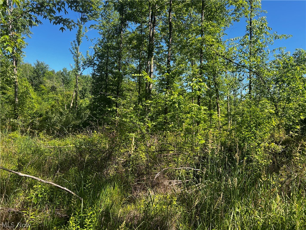 Township/Mecca Cowles Sec 01 - Land