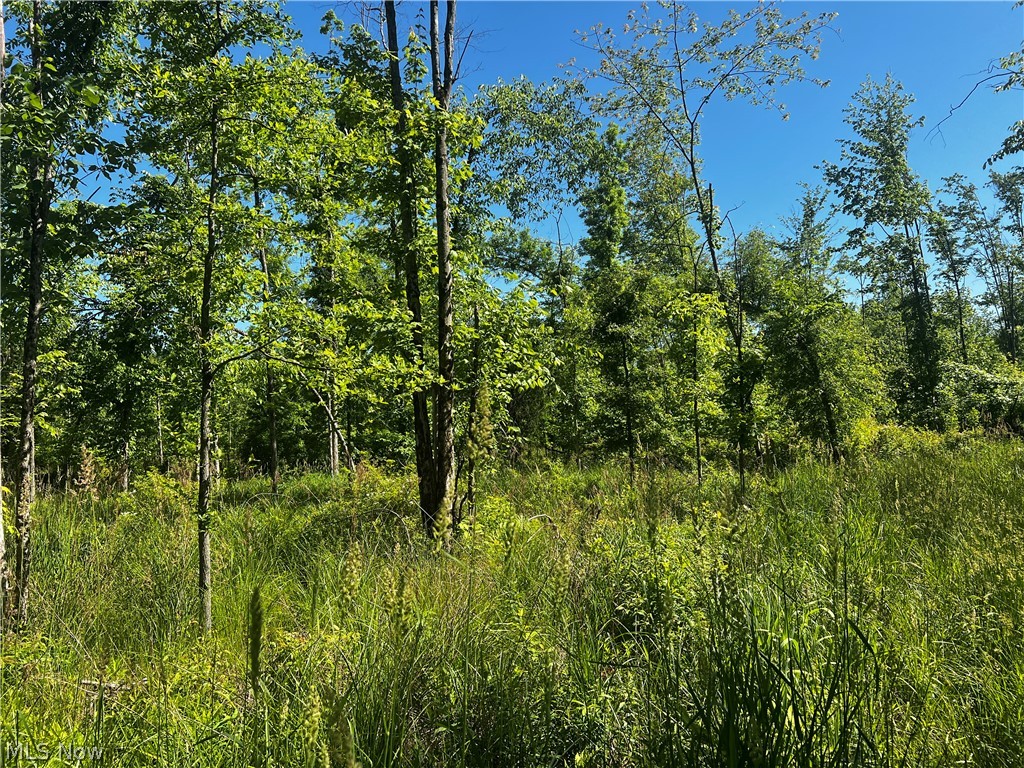 Township/Mecca Cowles Sec 01 - Land