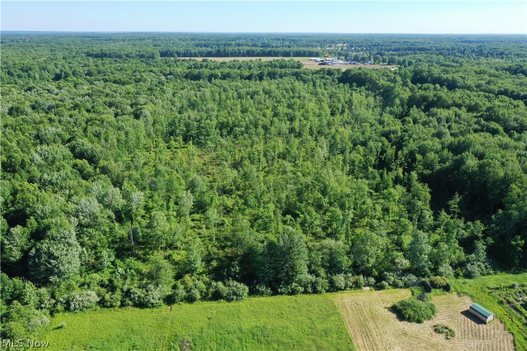 Township/Mecca Cowles Sec 01 - Land