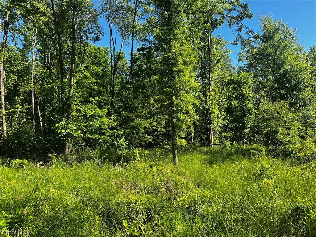 Township/Mecca Cowles Sec 01 - Land