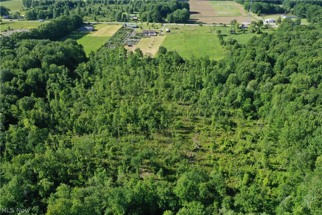 Township/Mecca Cowles Sec 01 - Land