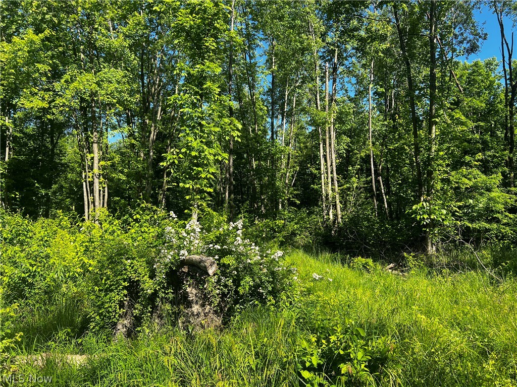 Township/Mecca Cowles Sec 01 - Land