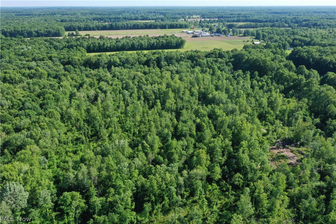 Township/Mecca Cowles Sec 01 - Land