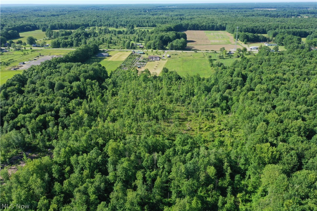 Township/Mecca Cowles Sec 01 - Land