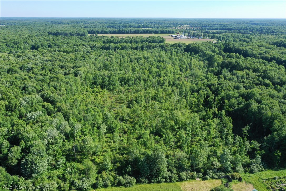 Township/Mecca Cowles Sec 01 - Land