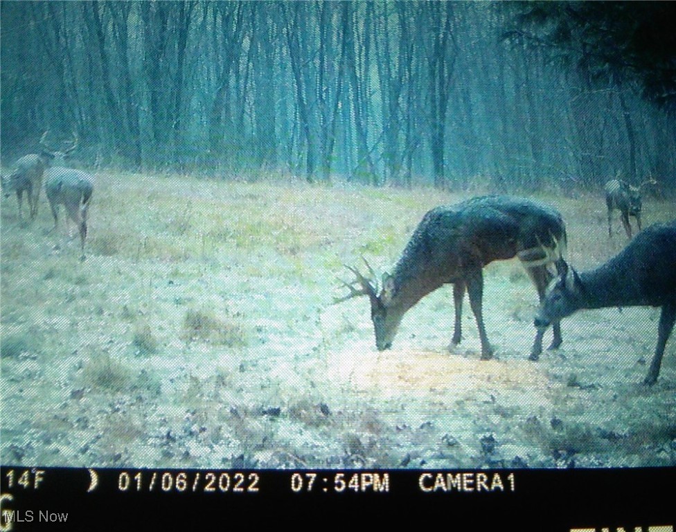 Township Rd 189, Fresno, Ohio image 10