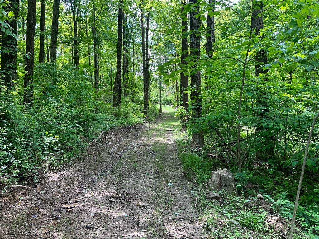 Township Rd 189, Fresno, Ohio image 9